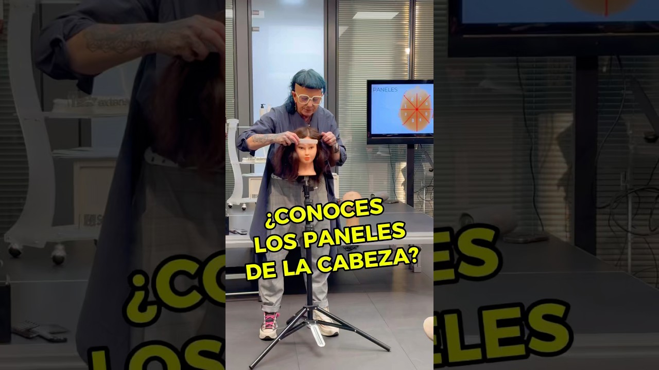 Cómo seccionar el cabello para cortarlo: los ocho paneles de la cabeza