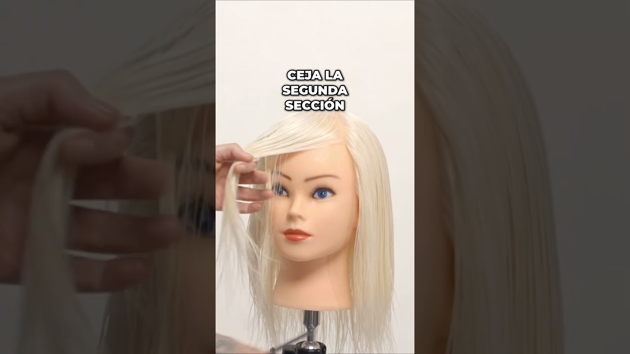 Cuánto se tarda en aprender peluquería: no son meses, son cabezas